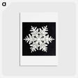 アートポストカード-Wilson Bentley's Snowflake 990 - ウィルソン ベントレー Postcard.