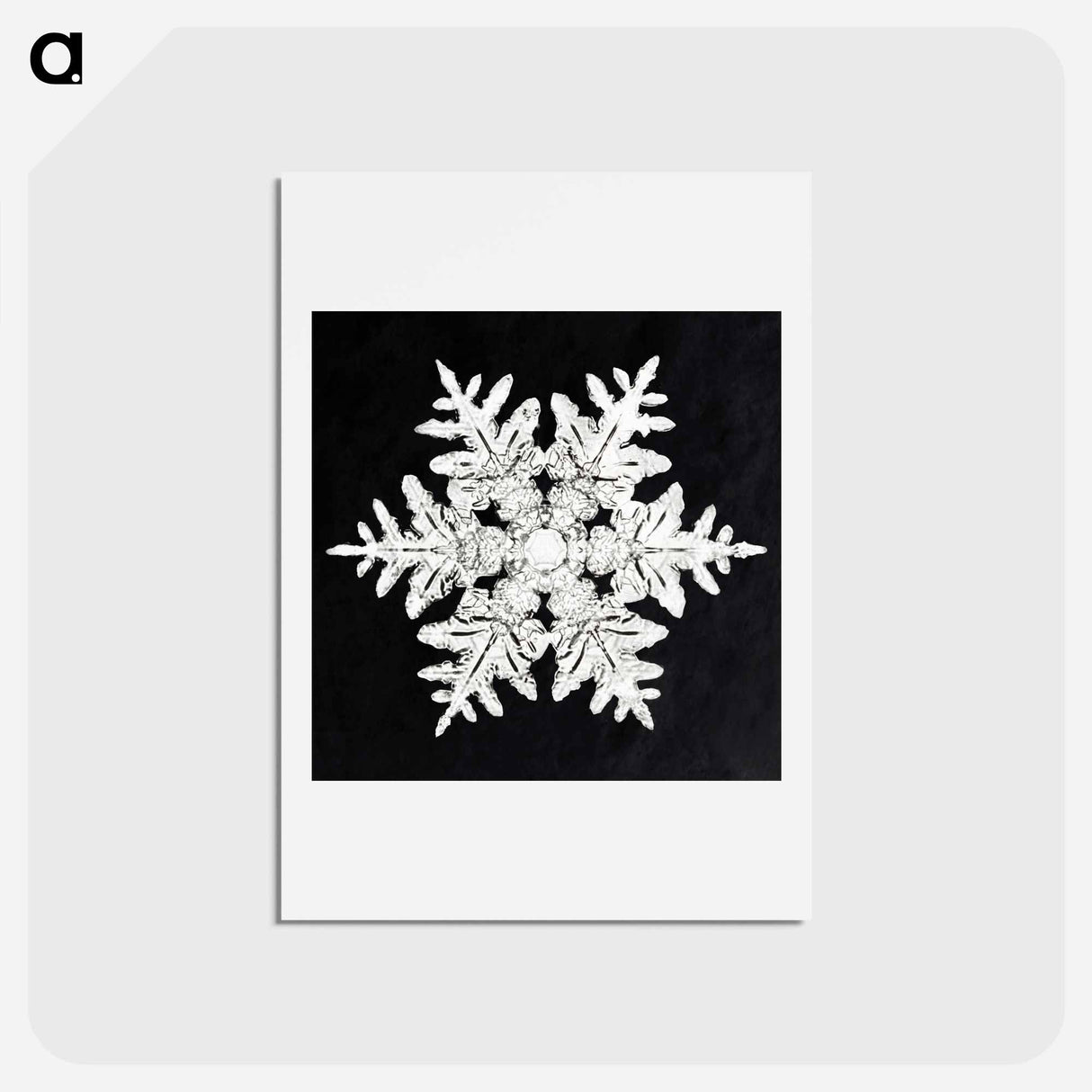 アートポストカード-Wilson Bentley's Snowflake 990 - ウィルソン ベントレー Postcard.