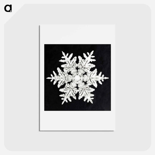 Wilson Bentley's Snowflake 990 - ウィルソン ベントレー Postcard.