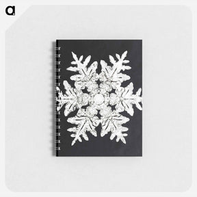 アートメモ帳-Wilson Bentley's Snowflake 990 - ウィルソン ベントレー Memo.