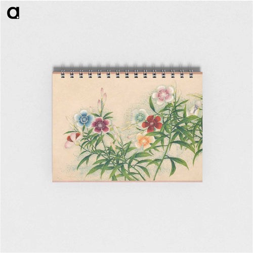 Pinks - 張若愛 Memo.