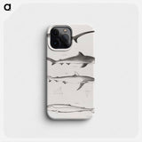 Different types of Sharks - ニューヨークの動物学 Phone Case.