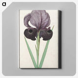 1-80_Anselmus-Boetius-de-Boodt_canvas