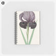 1-80_Anselmus-Boetius-de-Boodt_memo