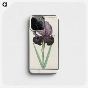 1-80_Anselmus-Boetius-de-Boodt_phone