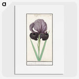 1-80_Anselmus-Boetius-de-Boodt_picture