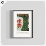 1-80_Botanical-Specimen-Plates_blk