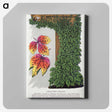 1-80_Botanical-Specimen-Plates_canvas