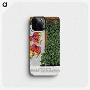 1-80_Botanical-Specimen-Plates_phone