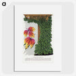 1-80_Botanical-Specimen-Plates_picture