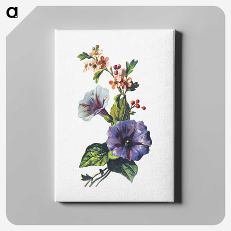 1-80_British-Library_canvas
