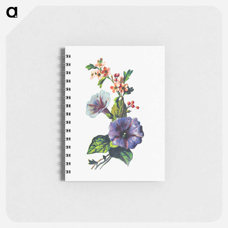 アートメモ帳-Convolvulus Pink Mayflower
 - 大英図書館 Memo.