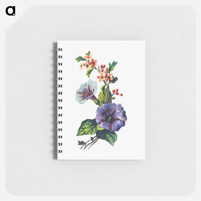 アートメモ帳-Convolvulus Pink Mayflower
 - 大英図書館 Memo.