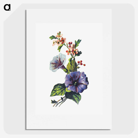 1-80_British-Library_picture