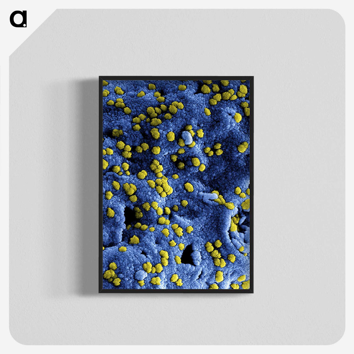 1-80_COVID-19_blk-crop