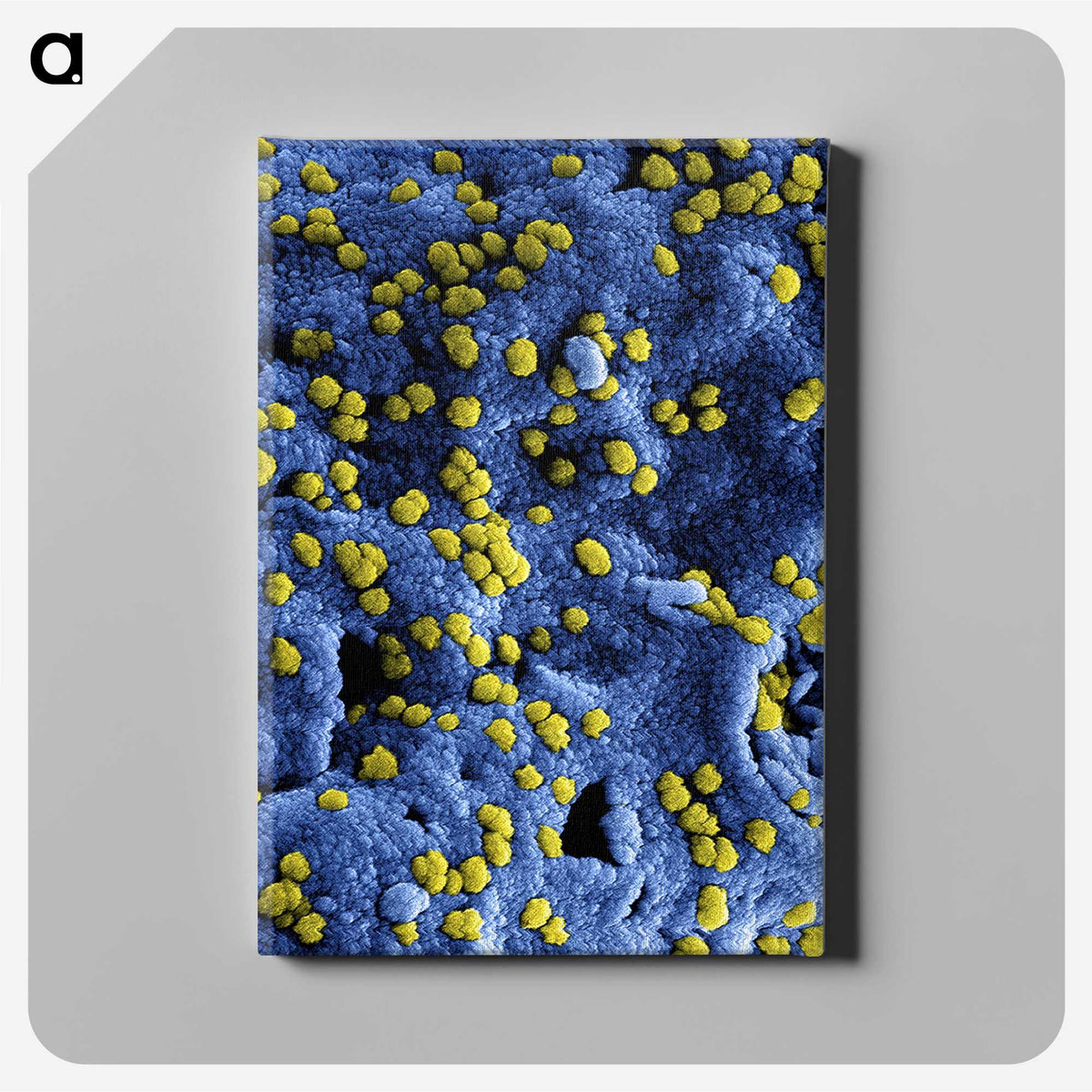 1-80_COVID-19_canvas