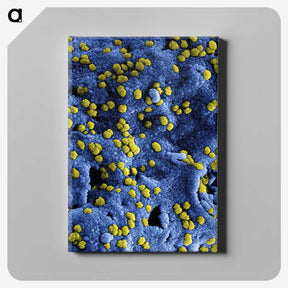 1-80_COVID-19_canvas