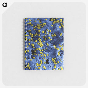 1-80_COVID-19_memo