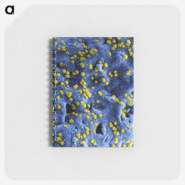 1-80_COVID-19_memo