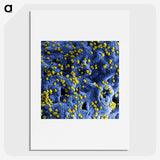 1-80_COVID-19_picture
