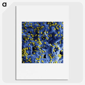 1-80_COVID-19_picture