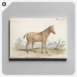 1-80_Charles-Hamilton-Smith_canvas