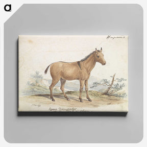 1-80_Charles-Hamilton-Smith_canvas