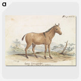 1-80_Charles-Hamilton-Smith_picture-crop