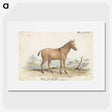 1-80_Charles-Hamilton-Smith_picture