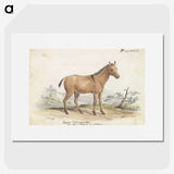 1-80_Charles-Hamilton-Smith_picture