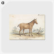 1-80_Charles-Hamilton-Smith_postcard