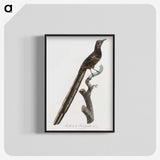 1-80_Des-Oiseaux-de-Paradis_blk-crop