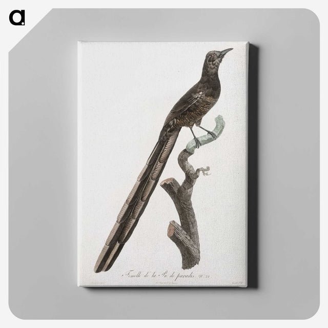1-80_Des-Oiseaux-de-Paradis_canvas