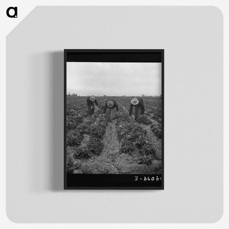 1-80_Dorothea-Lange_blk-crop