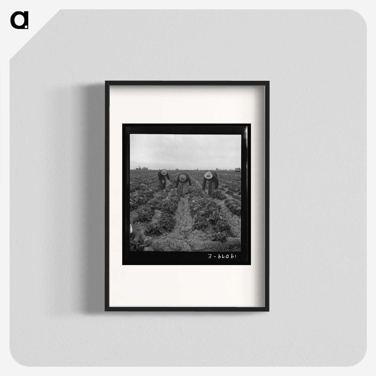 1-80_Dorothea-Lange_blk