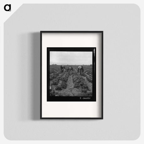 1-80_Dorothea-Lange_blk
