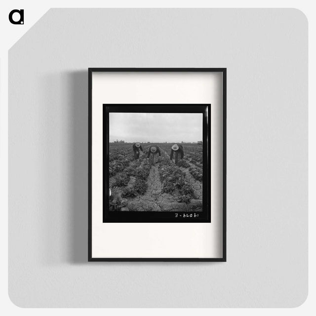 1-80_Dorothea-Lange_blk