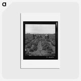 1-80_Dorothea-Lange_hagaki