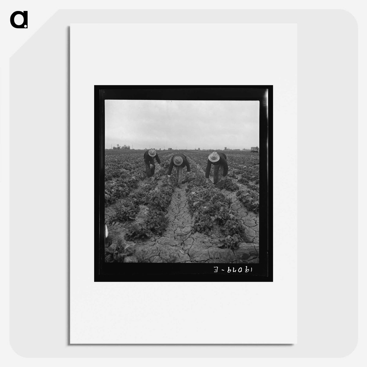 1-80_Dorothea-Lange_picture