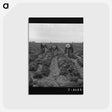 1-80_Dorothea-Lange_postcard