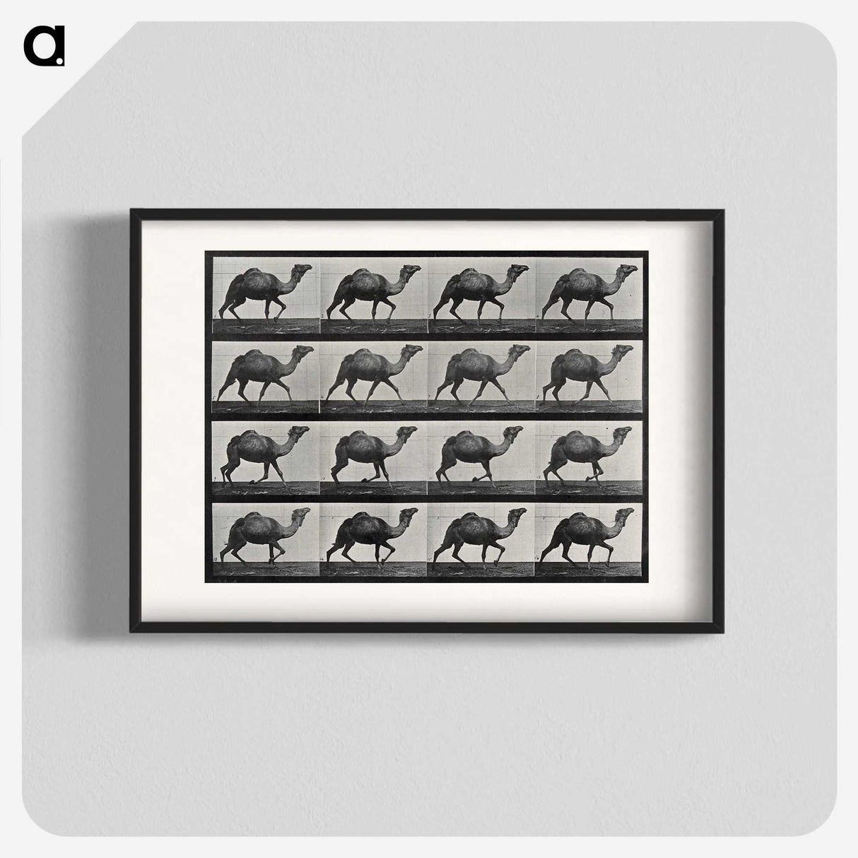 1-80_Eadweard-Muybridge_blk