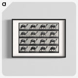 1-80_Eadweard-Muybridge_blk