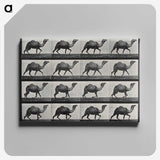 1-80_Eadweard-Muybridge_canvas