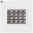 アートポストカード-Humpback Camel
 - エドワード マイブリッジ Postcard.