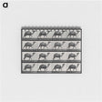 1-80_Eadweard-Muybridge_memo