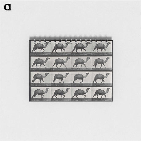1-80_Eadweard-Muybridge_memo