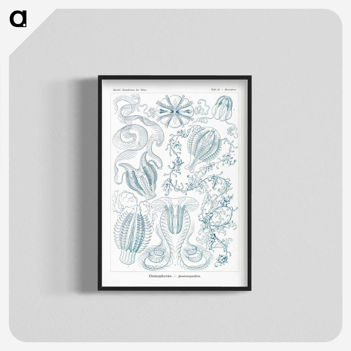 1-80_Ernst-Haeckel_blk-crop