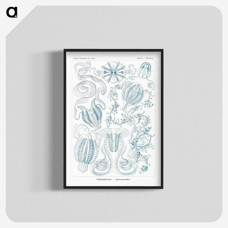 1-80_Ernst-Haeckel_blk-crop