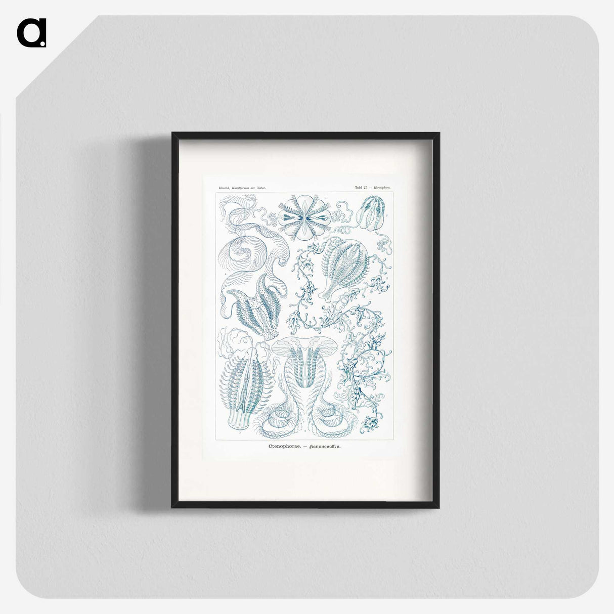 1-80_Ernst-Haeckel_blk