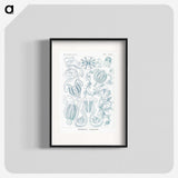 1-80_Ernst-Haeckel_blk